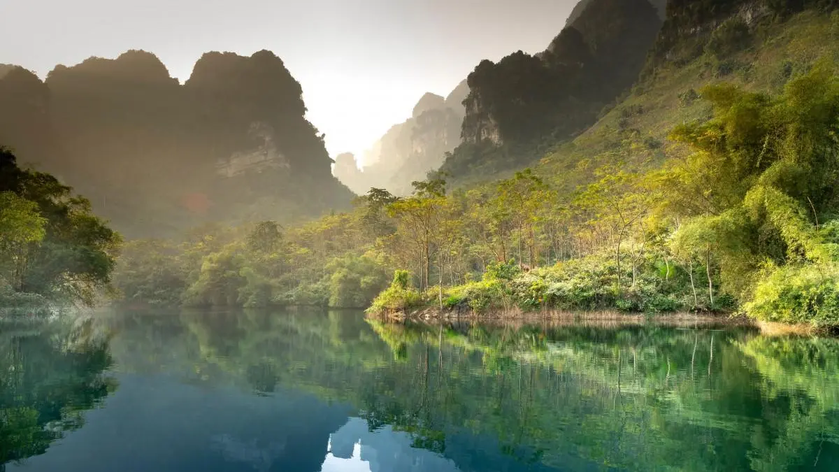 网络化科技高端